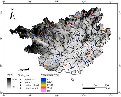 Soil C:N:P stoichiometry and its influencing factors in forest ecosystems in southern China